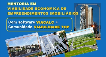 mentoria em viabilidade economica